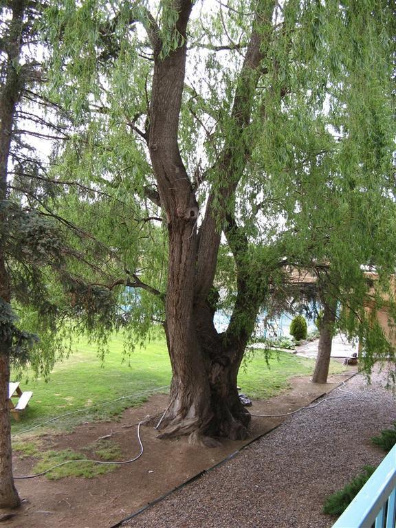 Indian Hills Inn, Taos Plaza Zewnętrze zdjęcie